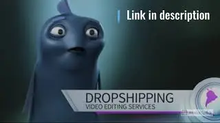 I will create shopify facebook video ads for dropshipping products