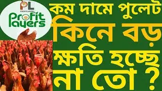 কম দামে পুলেট কিনে বড় ক্ষতি হচ্ছে না তো? | Profit Layers