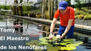 Jardines Secretos del Mundo - Tomy, el Maestro de los Nenúfares - Madrid, España