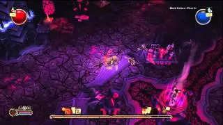 Torchlight - Black Palace Floor 31