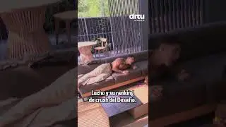 &iquest;Qui&eacute;n es la mujer que le gusta a Lucho?- DITU