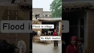 #floodinvillage #viralvideo #followme
