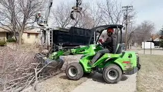 Trimmer Tree MN - Tree Trimming Services