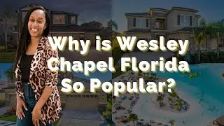 Moving to Wesley Chapel FL | What to know before moving