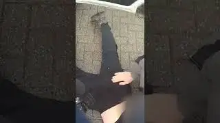 Поджигатель группы Вагнера арестован на парковке B&Q #шорты