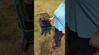 Der Trecker des kleinen Mannes #Handwagen #Bollerwagen # mist #diy #d&uuml;nger #Landleben #garten