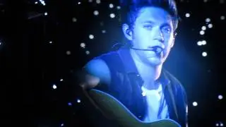 Little Things - One Direction (MetLife Stadium 8/4/2014)