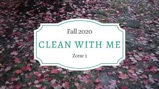 Clean with Me - Zone 1