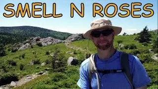 This Is Smell N Roses