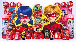 Miraculous Ladybug Toys Collection ASMR Unboxing Review | Mystery Cat Noir & Ladybug Figure