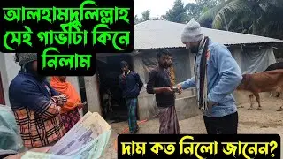 গাভীটা কিনে নিলাম,,,দাম কত নিলো জানেন? 🐄