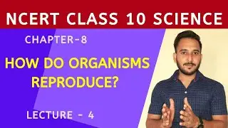 Asexual reproduction in hydra | how do organisms reproduce |class 10 biology | star education