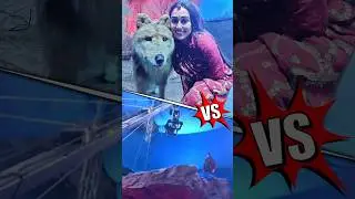 Varun Dhawan Bhediya Making - Behind The Scene of Stree 2 | Making Of Stree 2 | VFXWALA