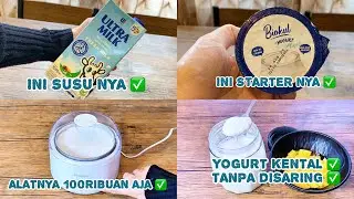 Cara Membuat Yogurt dengan Susu UHT & Biokul