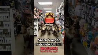 Santa went shopping and brought his reindeer and sleigh with him. #shortvideo #santa #christmas
