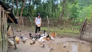 Zadbaj o zwierzęta domowe, ogrodz klomby, siej bulwy i okrę. Żyj z naturą.