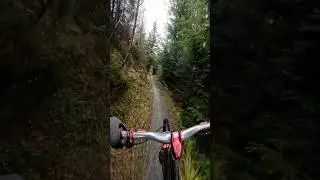 Mordaith - Coed y Brenin