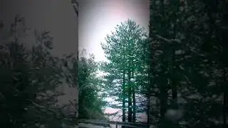 Cyprus, Troodos mountain #travel #explore #cyprusvlog #cyprus #mountains