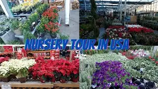 A visit to a plant nursery in Phoenix Arizona||Nursery tour in USA|| stunning nursery||Gardencenter