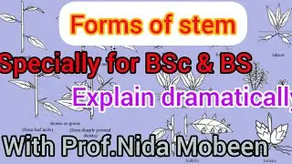 Forms of stem|all types stem|systematics,anatomy and development|Bsc|BS|Botany B|morphology of stem
