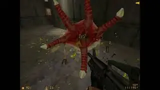 The 
