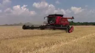 2014 Wheat Harvest with a Case IH 8230 Axial-Flow Combine