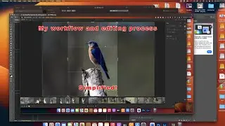 My Simplified process for editing photos    HD 1080p