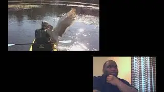 Goose attacks man in kayak REACTION