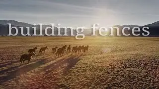 BUILDING FENCES - OFFICIAL VIDEO