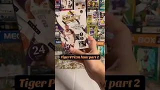 Tiger Prizm Hunt part 2! #hunt #prizm