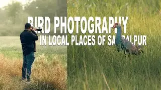 Capturing AMAZING Bird Photography Locally?