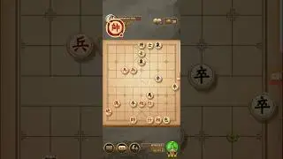 Nhung nuoc co tuong ba dao phao xe khai cuoc chop nhon