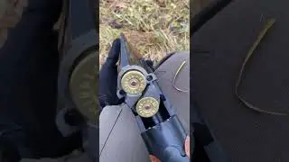 ATA Arms SP, Remington, winter hunting.