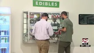 Virginia lawmakers resubmit bill to establish legal retail cannabis market