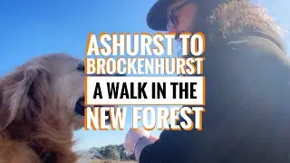 Ashurst ➜ Brockenhurst | Spring walk in the New Forest (Type 1 diabetes on the trail)