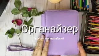 Наполняю карандашами новый пенал.