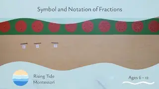 Symbol and Notation of Fractions