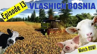 Harvest Season!! | Episode 13 | Vlashich, Bosnia!!