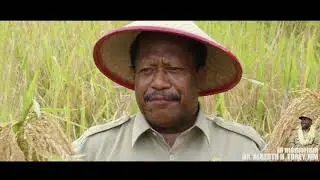 in Memoriam DR ALBERTH H TOREY, MM