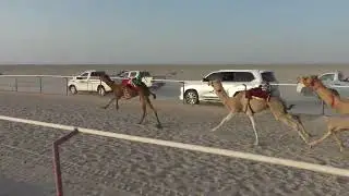 17 يناير، 2026