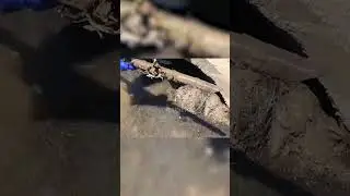 Прочистка засорившейся водопропускной трубы