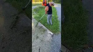 String Trimmer Lawn Edging Stihl fs130 #lawncare #shorts #grasscutting #lawncarelife #entertainment