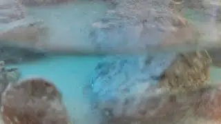 Metal Acetate Path Alchemy With Galena Mineral Stone