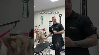 Groom Smarter: This Dryer Hack Saves Time AND Your Back! #groomingdog  #doggroomer #doggroomingtips