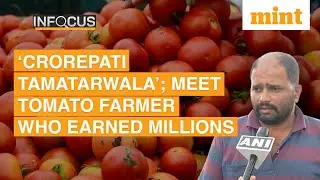 &lsquo;Crorepati&rsquo; In A Month; It's Raining Money In Monsoon For Tomato Farmers | Details | In Focus