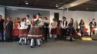 Baranya táncos virágai