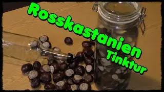 Rosskastanien Tinktur herstellen 🌳Kraft der Natur🌳