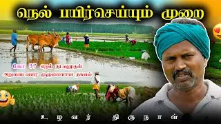 நெல் நாத்து நடவு செய்யும் முறை முழுமையான தகவல் | உழவர் திருநாள்