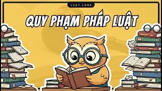 Những Thứ Bạn Cần Biết Về Quy Phạm Pháp Luật | Pháp Luật Đại Cương