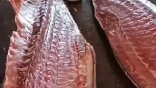 How to cut huge fish #cutting #hugefish #ytviral #trend #trimming #satisfying